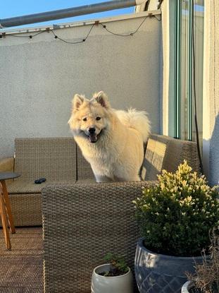 Out balcony