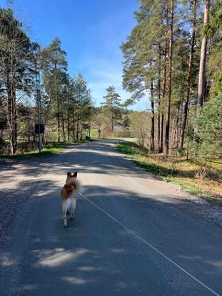 Vägen upp till gatan