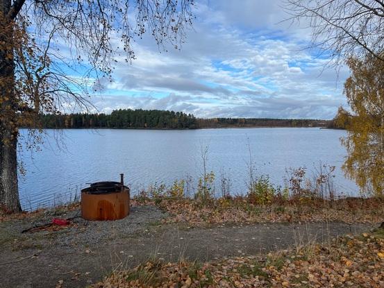 Jag har märhet till fina grönområden då jag bor i Teleborg. Det finns naturreservat och hundstrand med gångavstånd