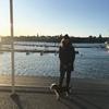 Sissel: Hundpassning och rastning i Stockholm!