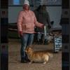 Anneli: Hundpassning på landet 